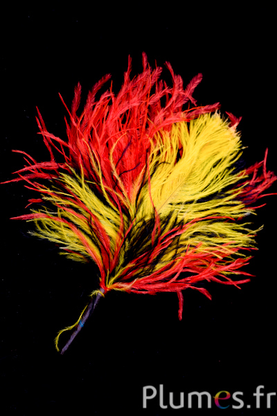 Plumet autruche - hauteur 20-23 cm - noir-rouge-jaune